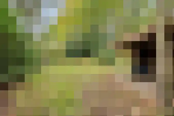 Het Groen 9 Knegsel thumbnail 26
