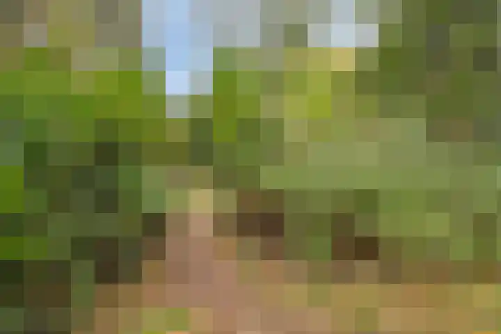 Het Groen 9 Knegsel thumbnail 30