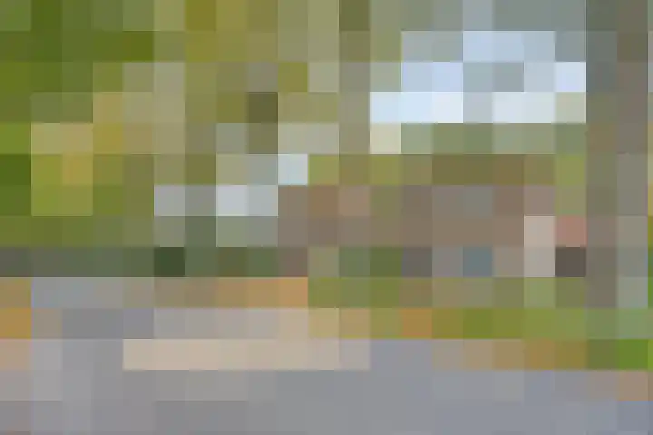 Het Groen 9 Knegsel thumbnail 32