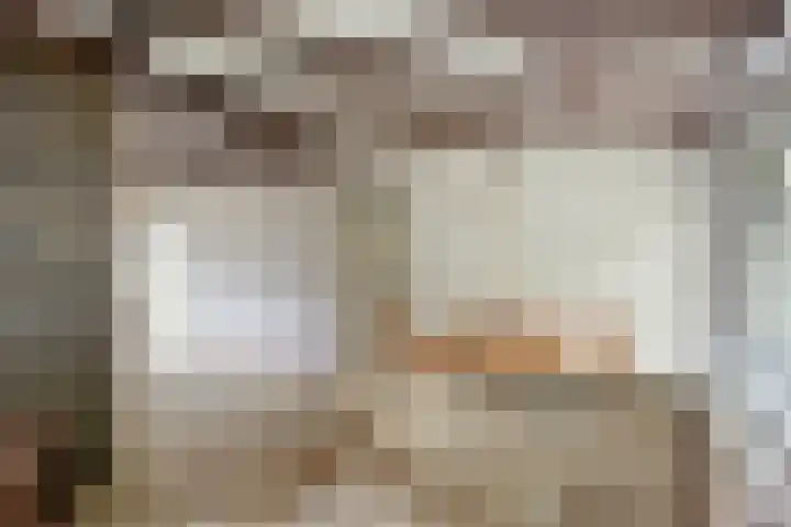 Het Groen 9 Knegsel thumbnail 9