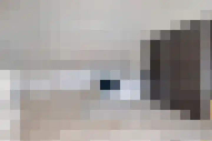 Het Groene Portaal 15 Nunspeet thumbnail 25