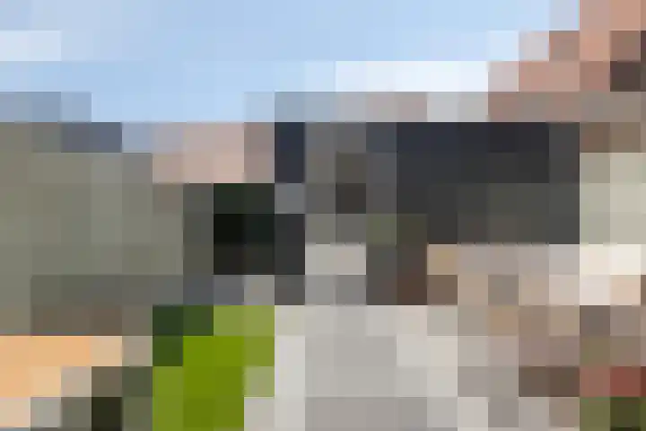 Het Groene Portaal 15 Nunspeet thumbnail 27