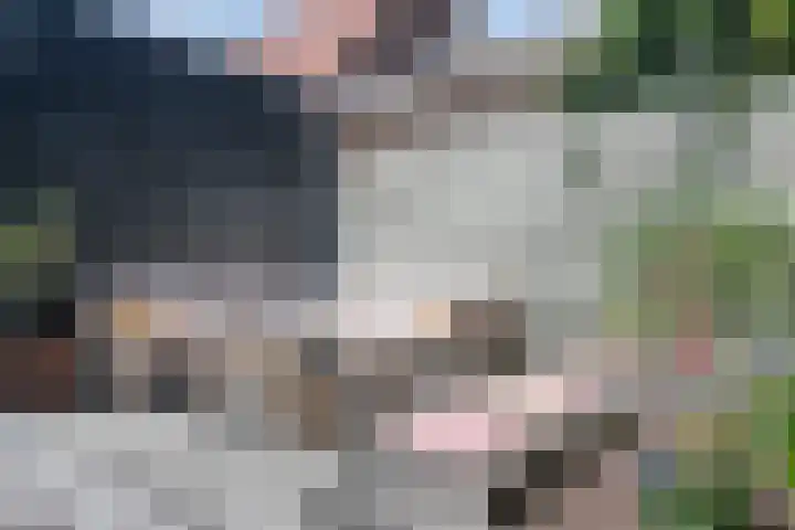 Het Groene Portaal 15 Nunspeet thumbnail 28