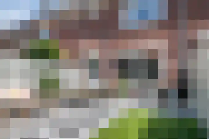 Het Groene Portaal 15 Nunspeet thumbnail 29