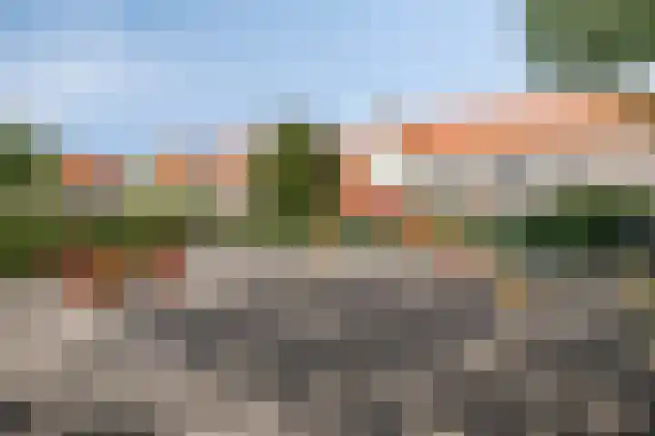 Het Groene Portaal 15 Nunspeet thumbnail 31