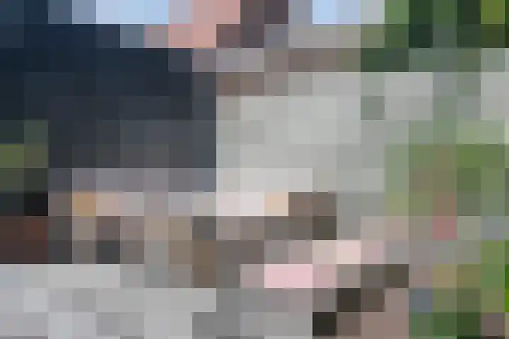 Het Groene Portaal 15 Nunspeet thumbnail 4