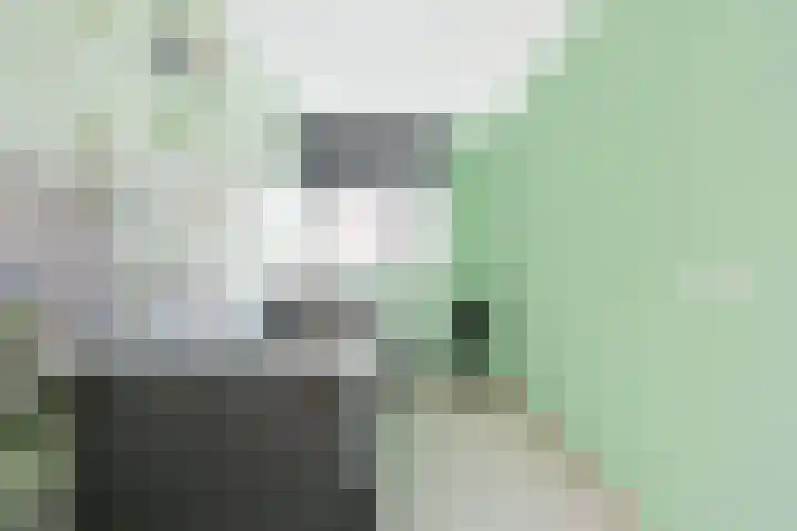 Het Groene Schaap 13 Amersfoort thumbnail 26