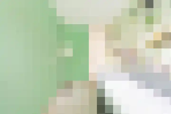 Het Groene Schaap 13 Amersfoort thumbnail 27