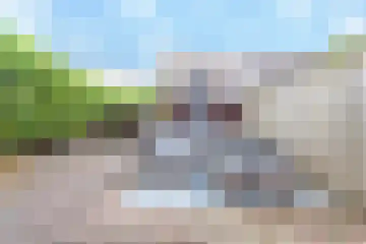 Het Groene Schaap 13 Amersfoort thumbnail 32