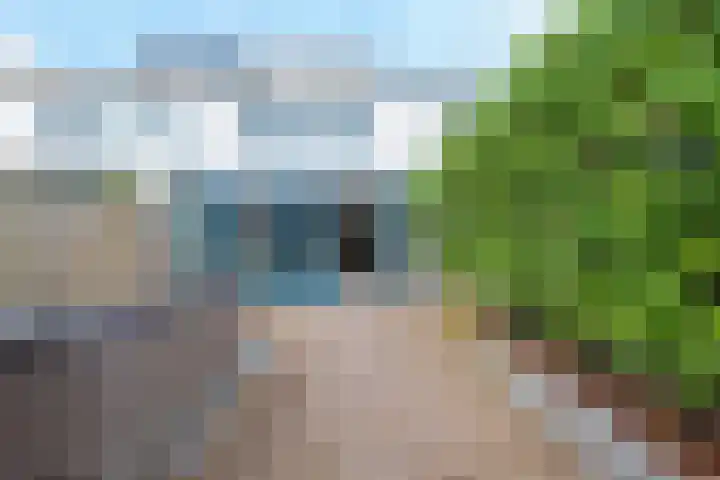 Het Groene Schaap 13 Amersfoort thumbnail 33