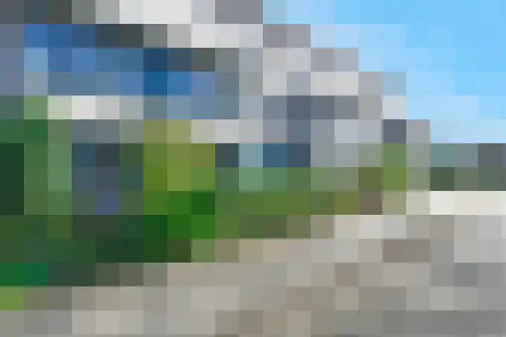 Het Groene Schaap 13 Amersfoort thumbnail 9
