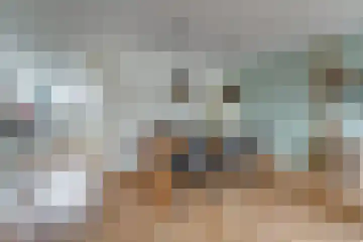 Het Groene Schaap 2 Amersfoort thumbnail 13