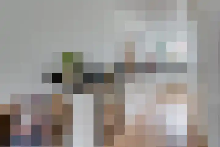 Het Groene Schaap 2 Amersfoort thumbnail 15