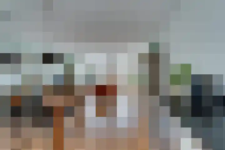 Het Groene Schaap 2 Amersfoort thumbnail 20