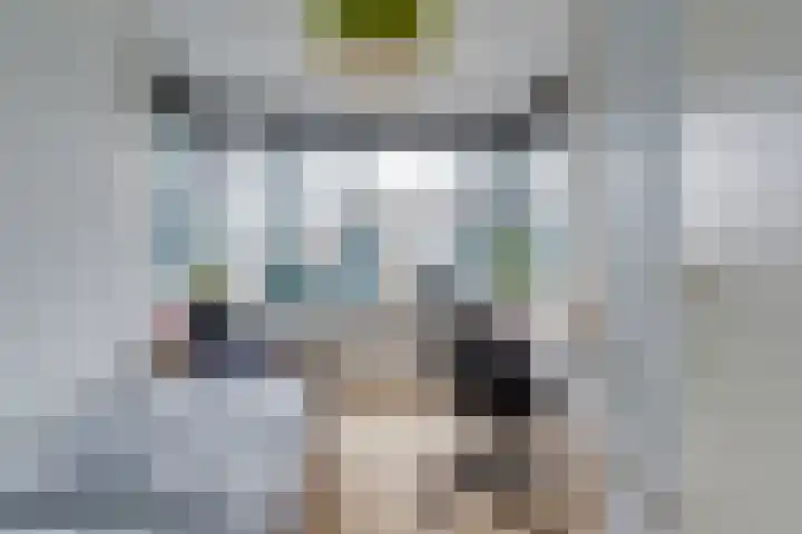 Het Groene Schaap 2 Amersfoort thumbnail 23