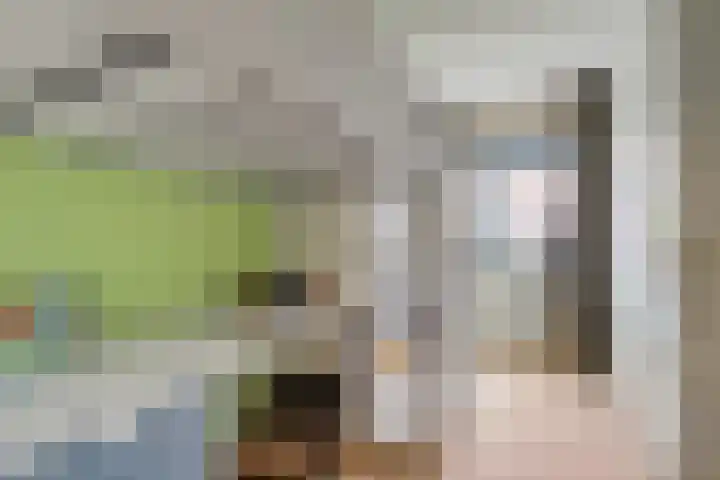 Het Groene Schaap 2 Amersfoort thumbnail 29