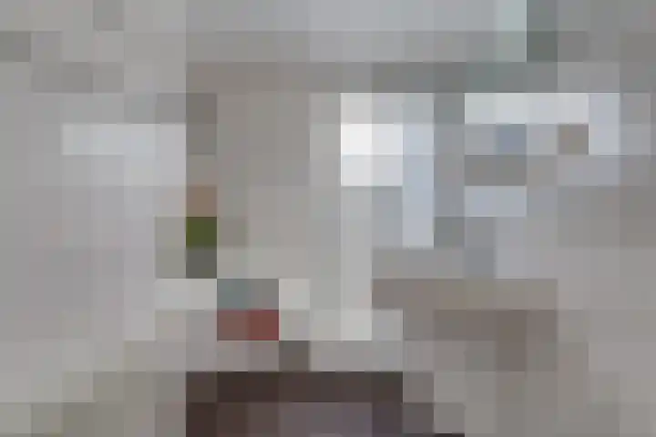 Het Groene Schaap 2 Amersfoort thumbnail 31