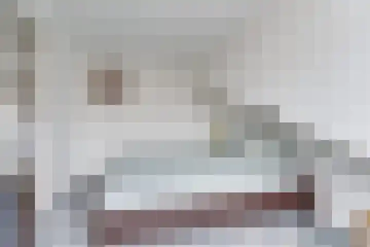 Het Groene Schaap 2 Amersfoort thumbnail 37