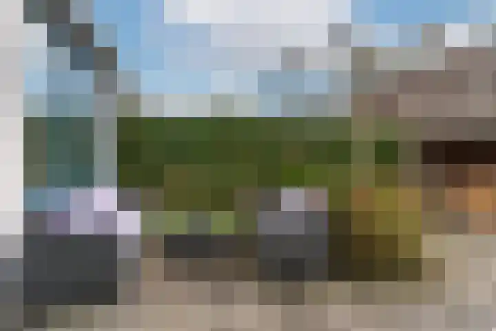 Het Groene Schaap 2 Amersfoort thumbnail 42