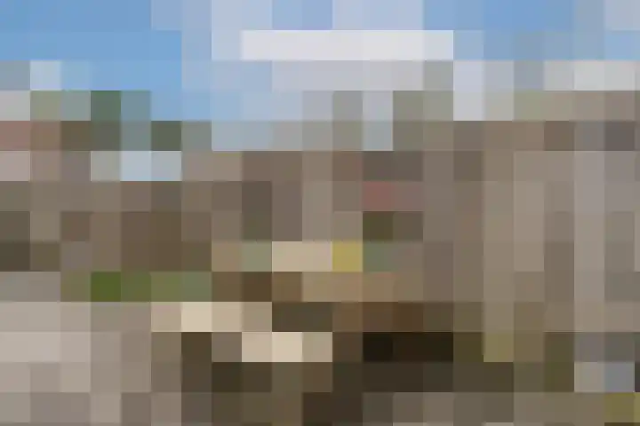 Het Groene Schaap 2 Amersfoort thumbnail 43