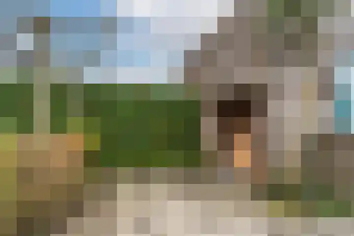 Het Groene Schaap 2 Amersfoort thumbnail 44