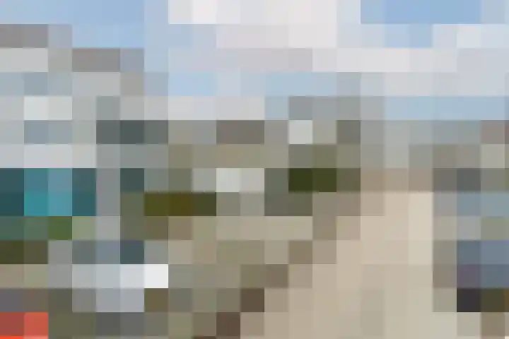 Het Groene Schaap 2 Amersfoort thumbnail 48