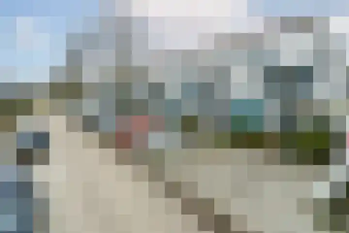 Het Groene Schaap 2 Amersfoort thumbnail 49
