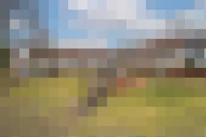 Het Groene Schaap 2 Amersfoort thumbnail 50