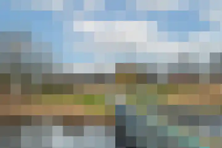 Het Groene Schaap 2 Amersfoort thumbnail 51