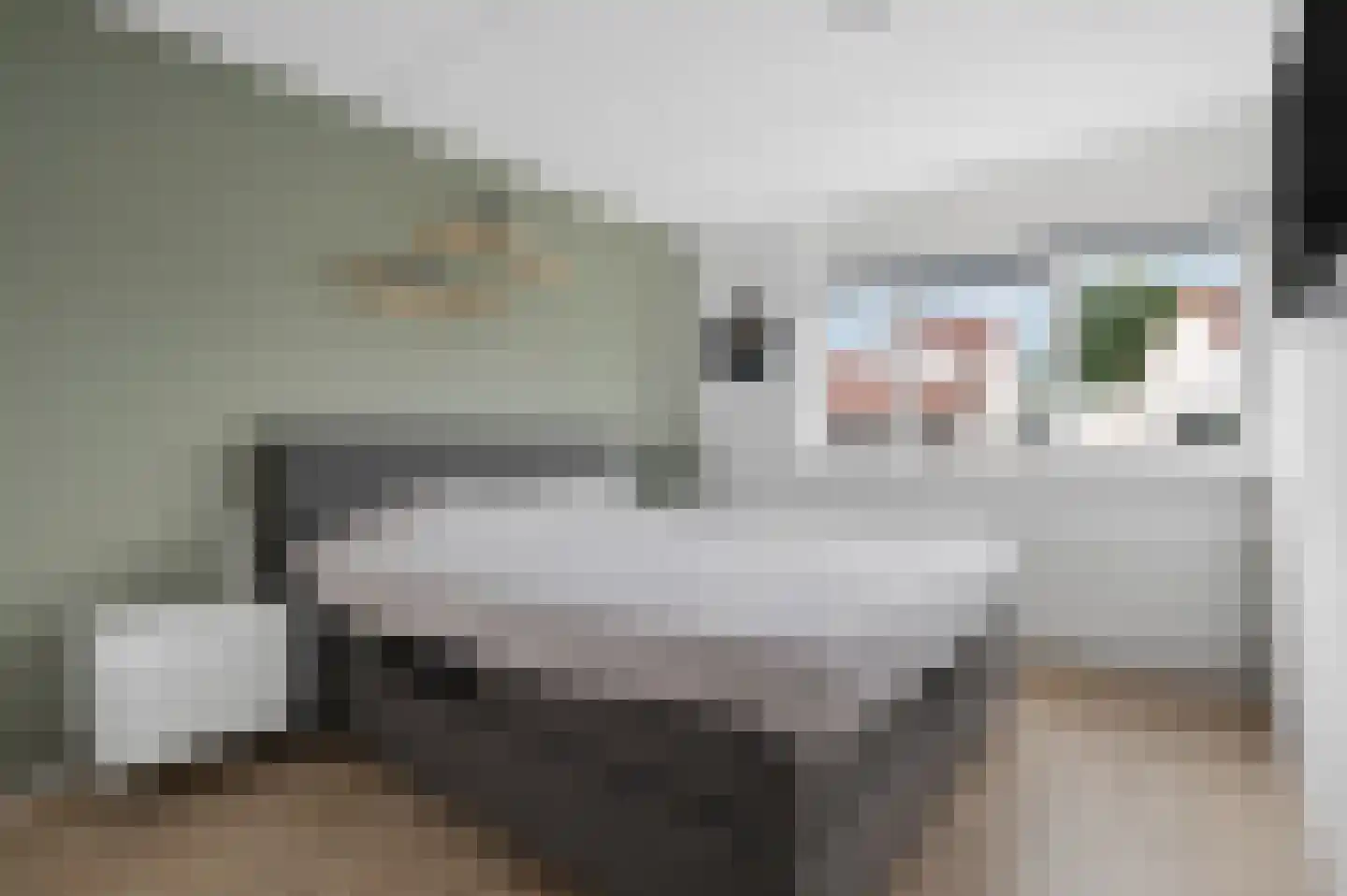 Het Groene Schaap 4 Amersfoort thumbnail 20