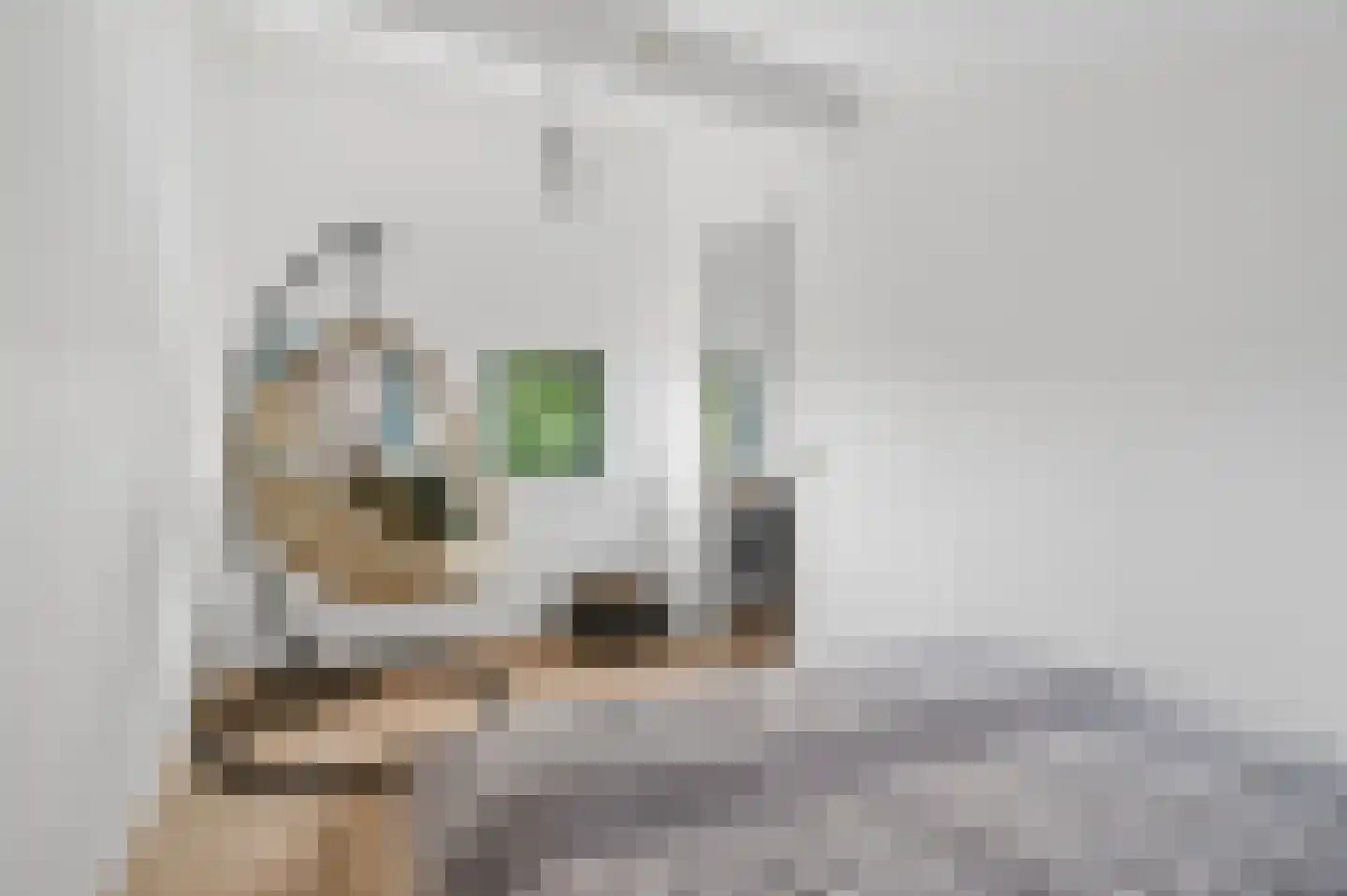 Het Groene Schaap 4 Amersfoort thumbnail 33