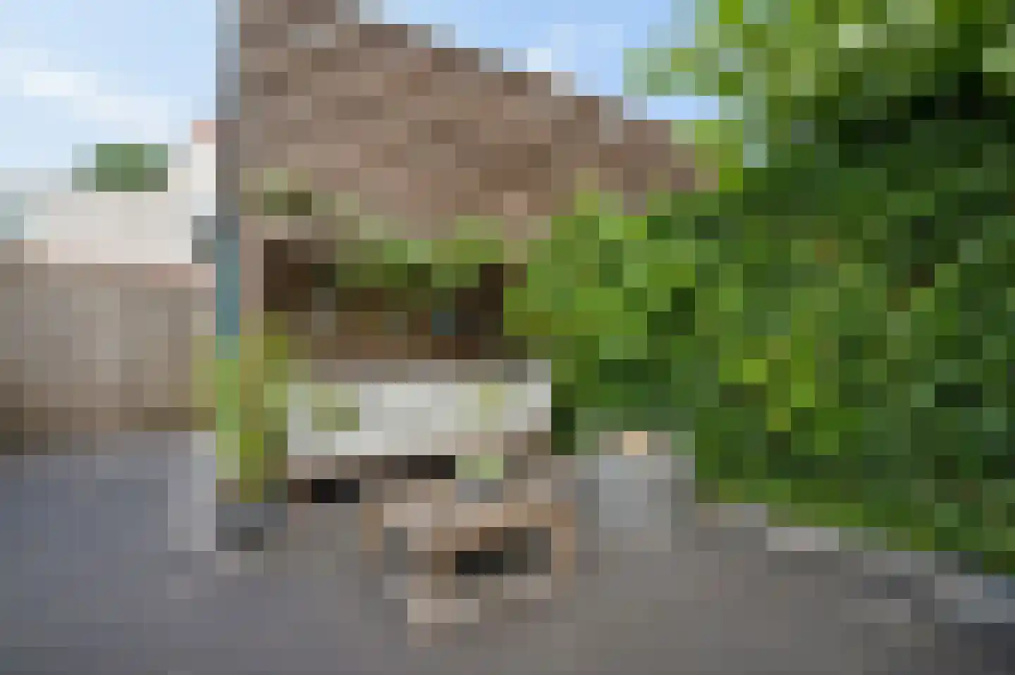 Het Groene Schaap 4 Amersfoort thumbnail 36