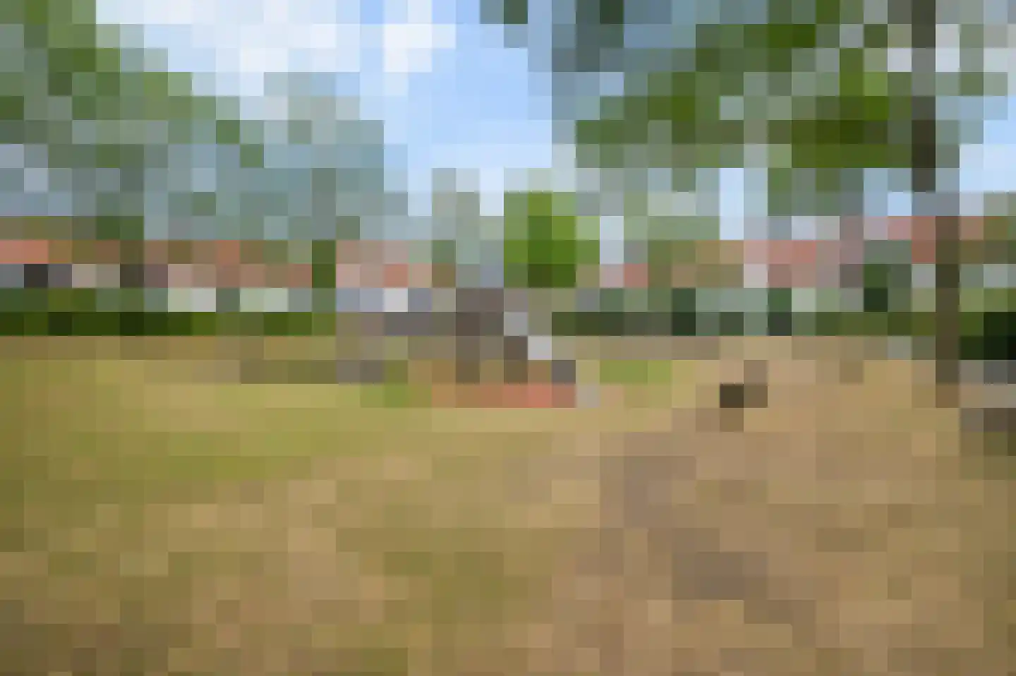 Het Groene Schaap 4 Amersfoort thumbnail 40