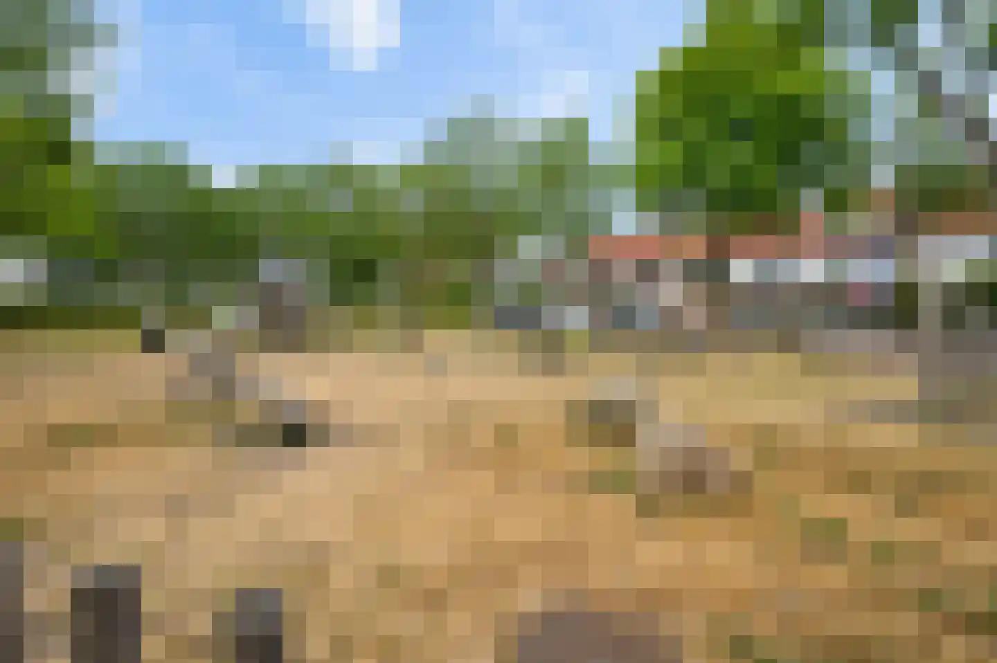 Het Groene Schaap 4 Amersfoort thumbnail 41