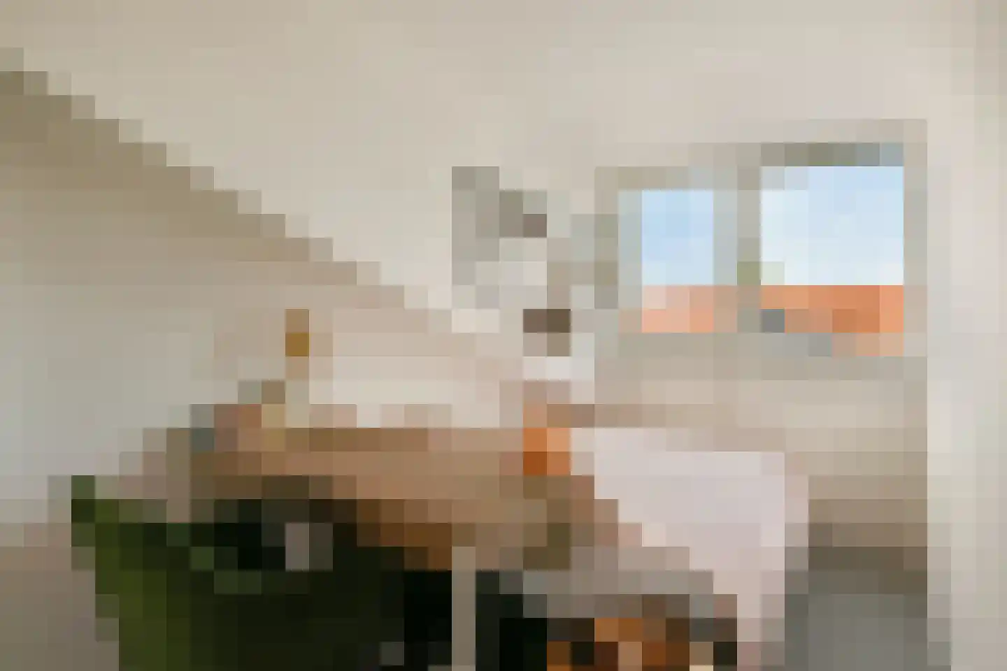 Het Groene Schaap 7 Amersfoort thumbnail 25