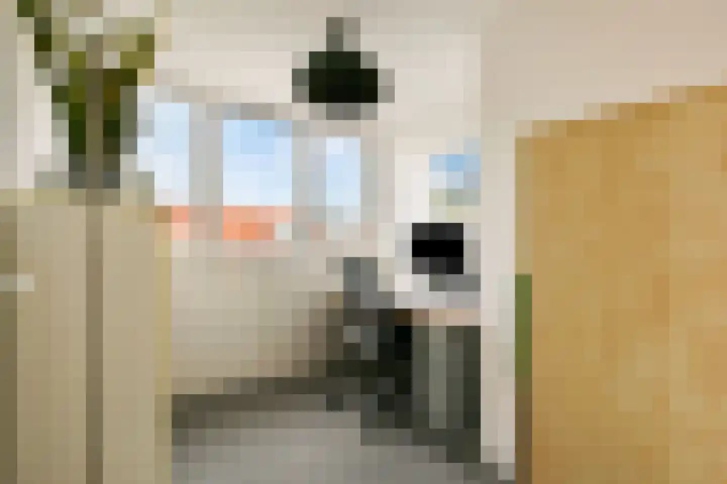 Het Groene Schaap 7 Amersfoort thumbnail 27