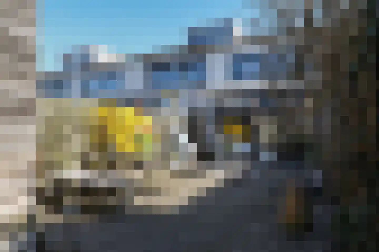 Het Groene Schaap 8 Amersfoort thumbnail 5