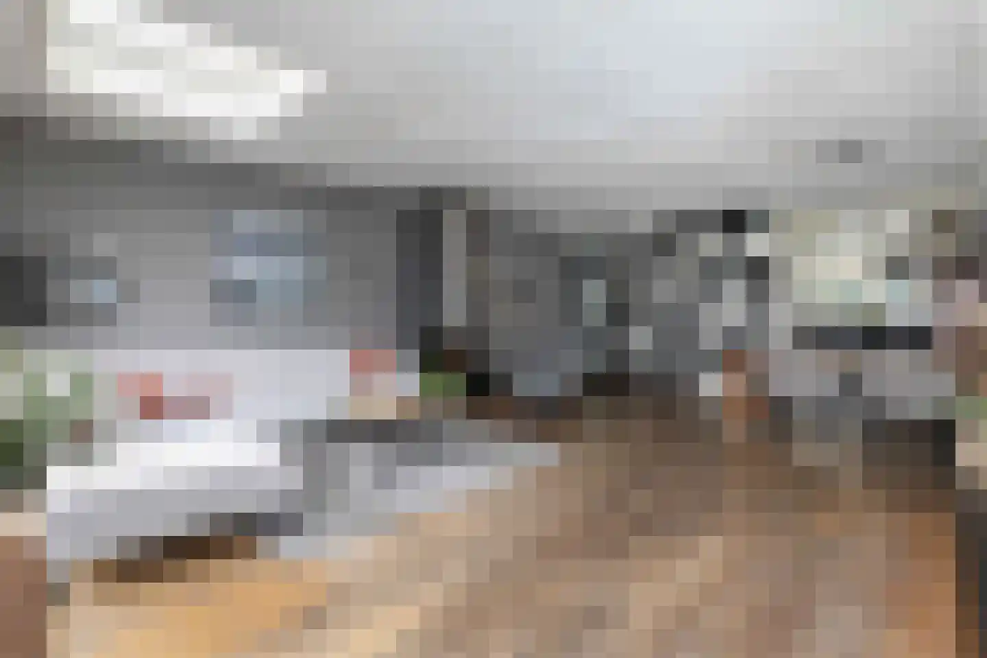 Het Groene Schaap 8 Amersfoort thumbnail 9
