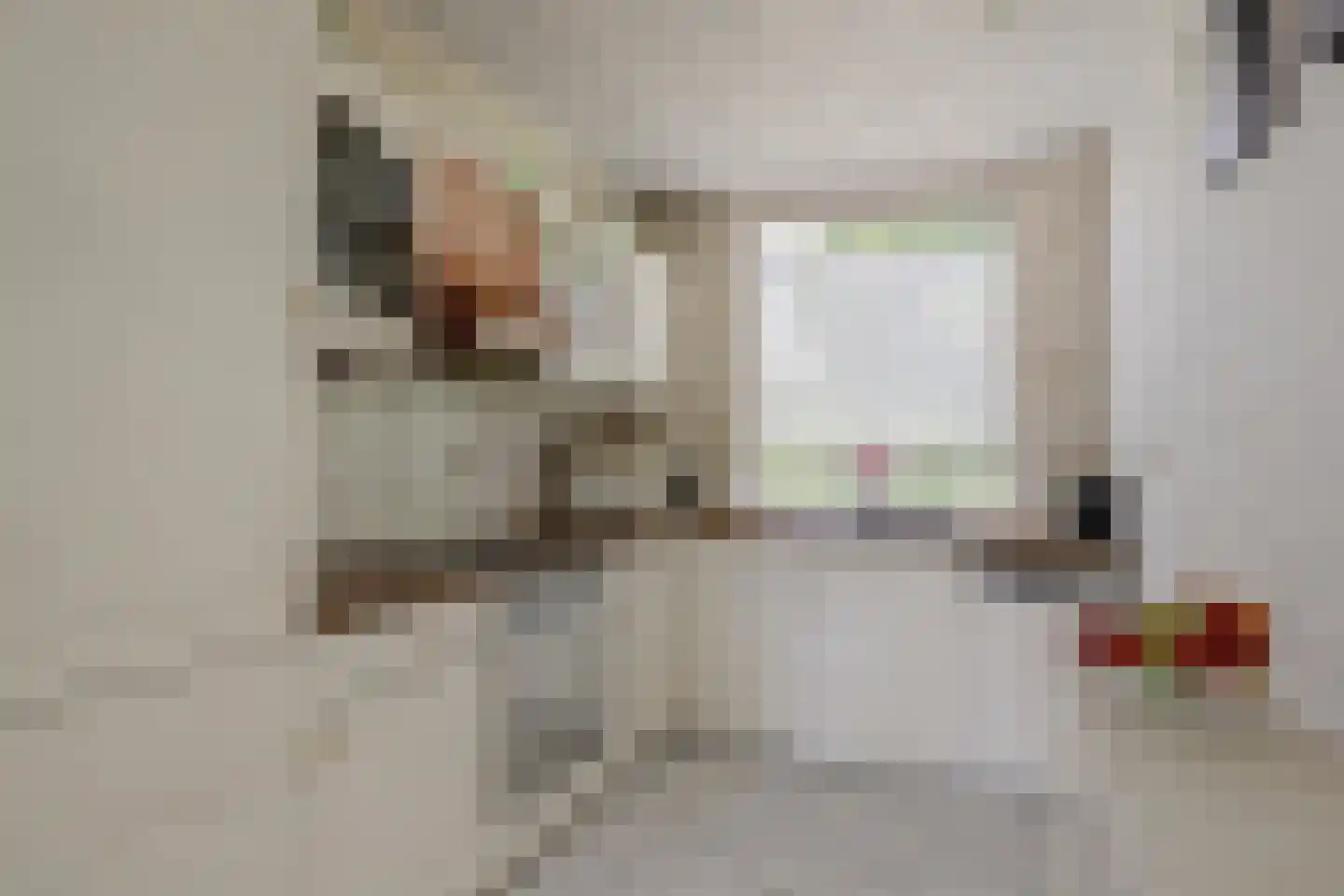 Het Groeneveld 42 Hendrik-Ido-Ambacht thumbnail 13