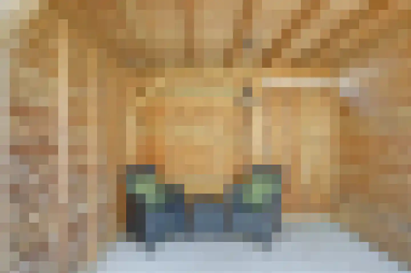 Het Groeneveld 42 Hendrik-Ido-Ambacht thumbnail 35