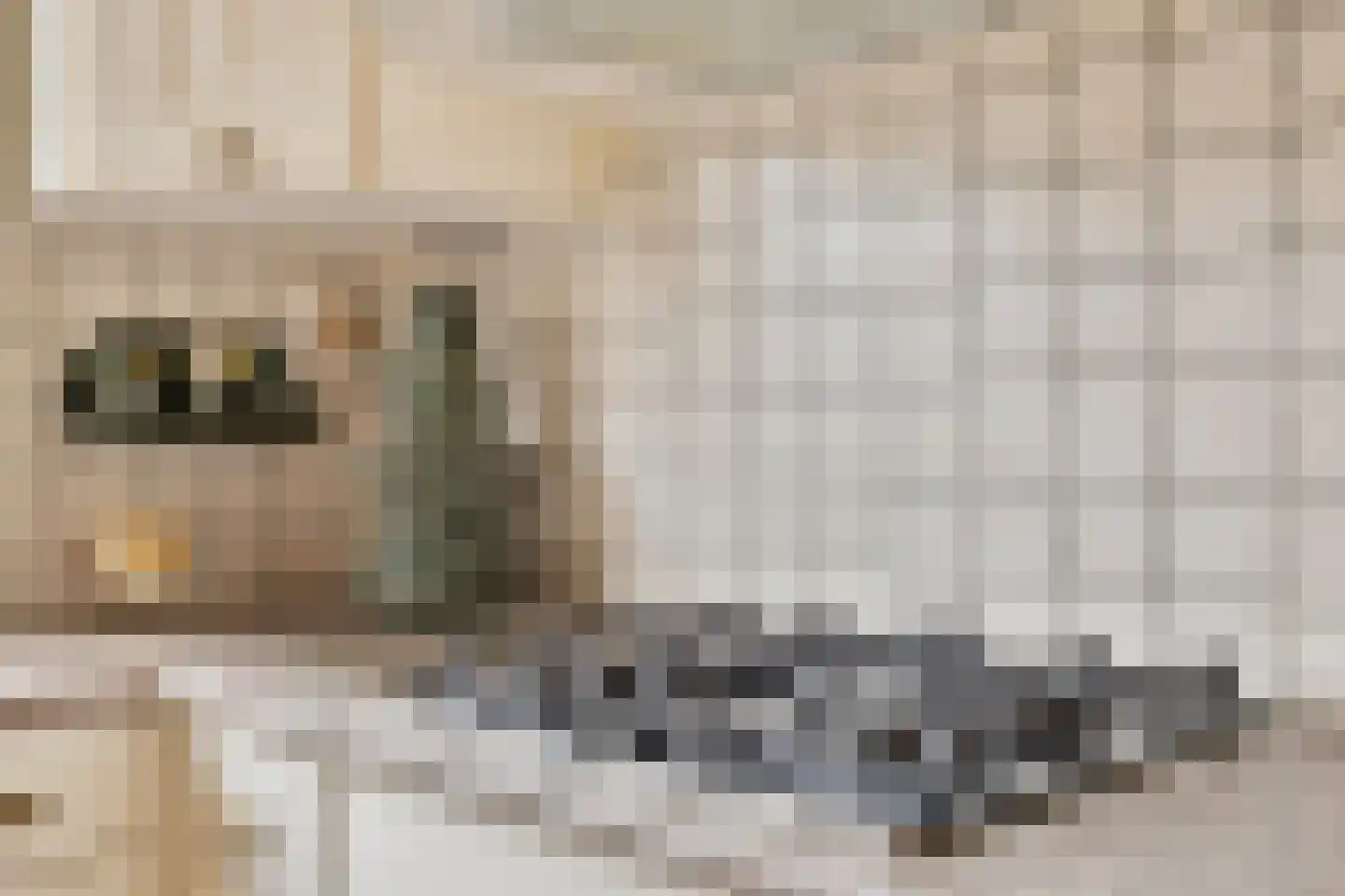 Het Groenevelt 35 Sliedrecht thumbnail 12