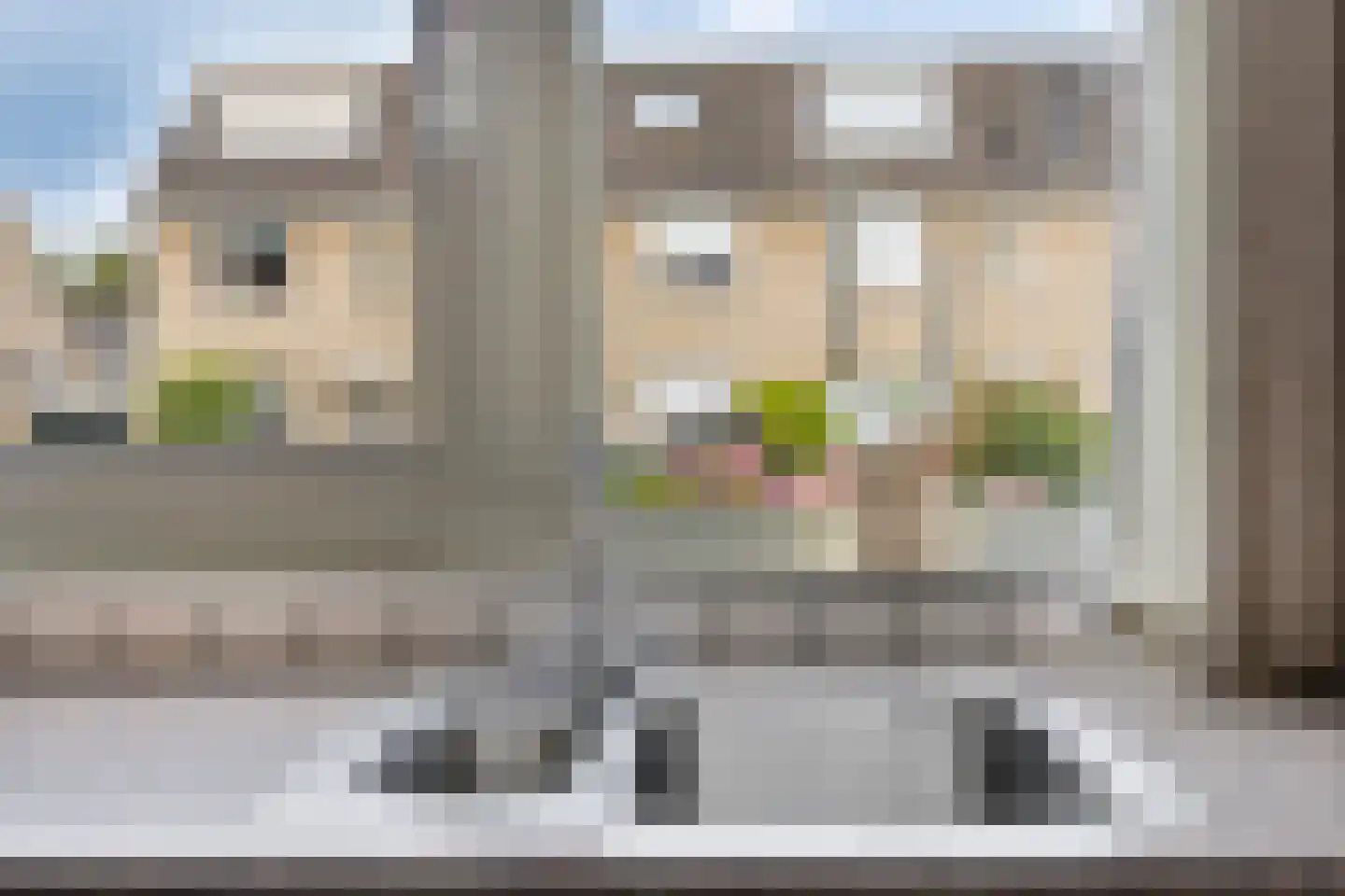 Het Groenevelt 35 Sliedrecht thumbnail 13