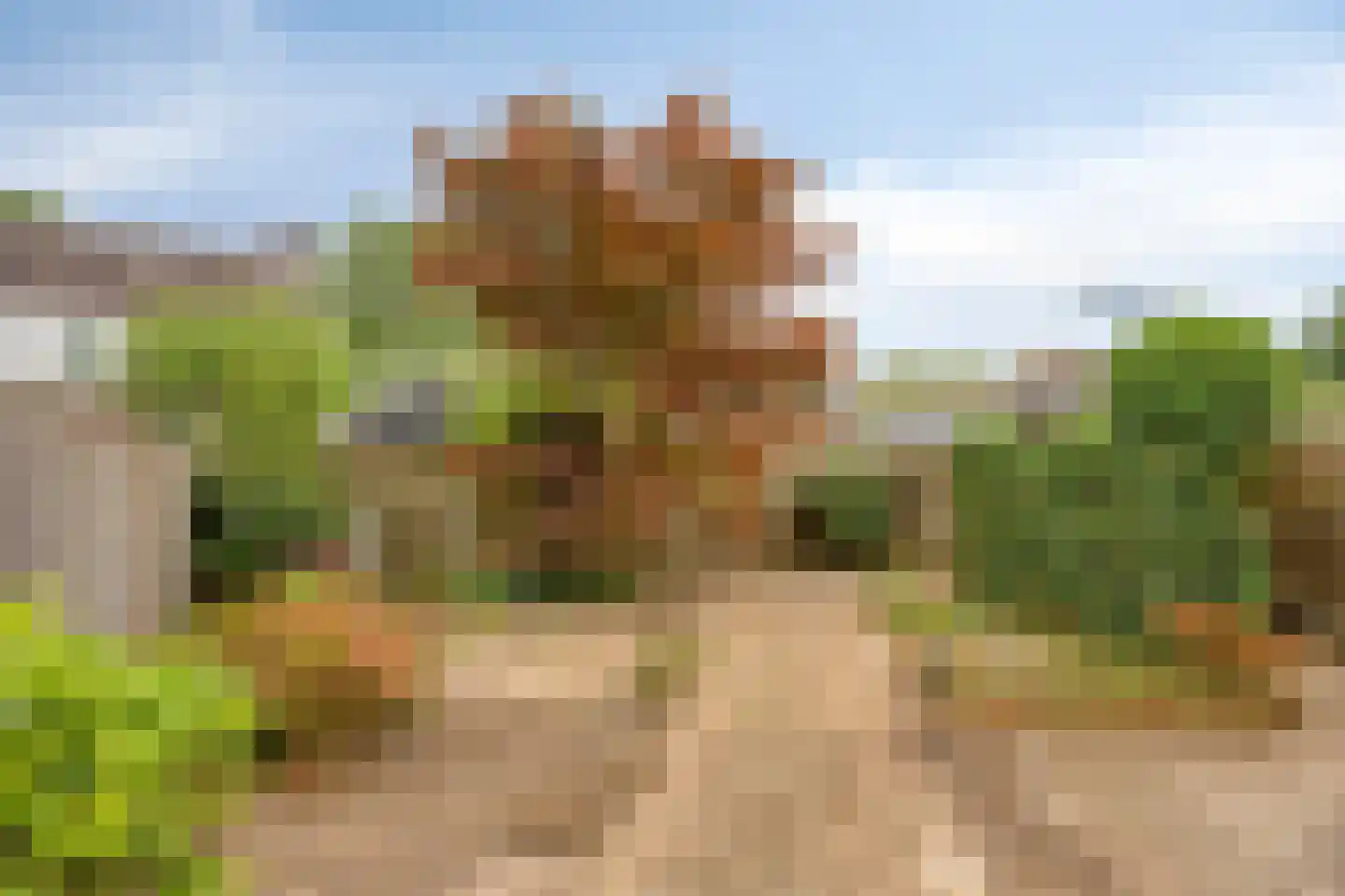 Het Groenevelt 35 Sliedrecht thumbnail 32