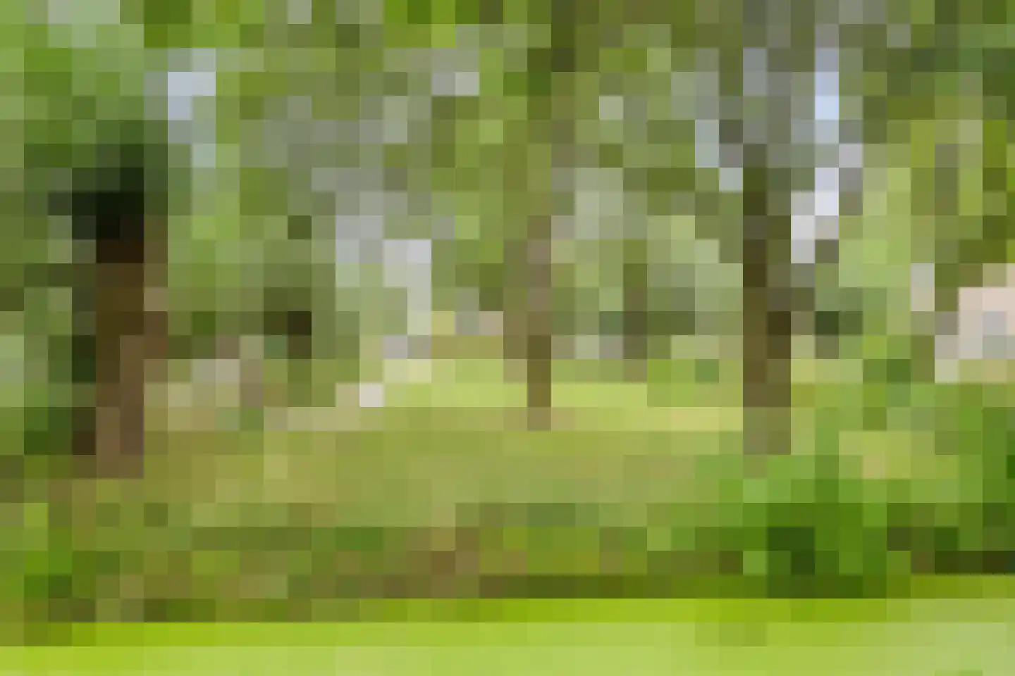 Het Groenevelt 35 Sliedrecht thumbnail 40