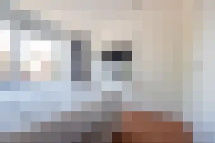 Het Grotenhuis 14 Dinxperlo thumbnail 23