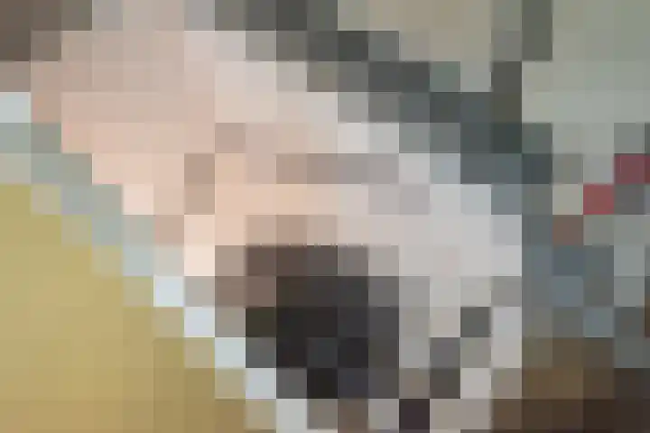 Het Grotenhuis 14 Dinxperlo thumbnail 31