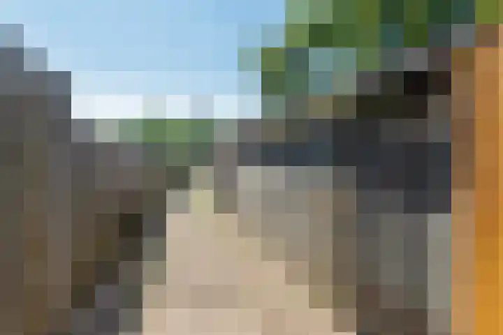 Het Grotenhuis 14 Dinxperlo thumbnail 41