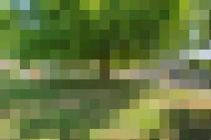 Het Grotenhuis 14 Dinxperlo thumbnail 43