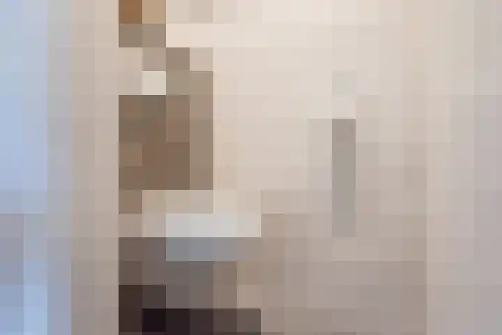 Het Grotenhuis 14 Dinxperlo thumbnail 9