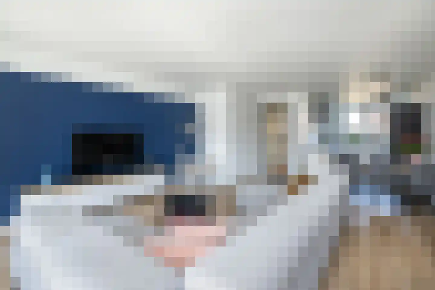 Het Gudseke 1 Stad aan 't Haringvliet foto 2